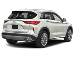 2024 INFINITI QX50 Sensory