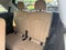 2021 Audi Q7 55 Premium Plus quattro