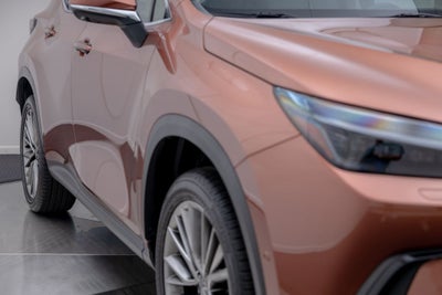 2025 Lexus NX 350h Luxury