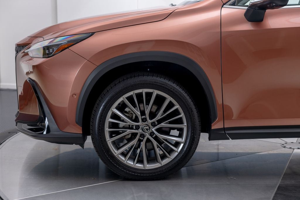 2025 Lexus NX 350h Luxury