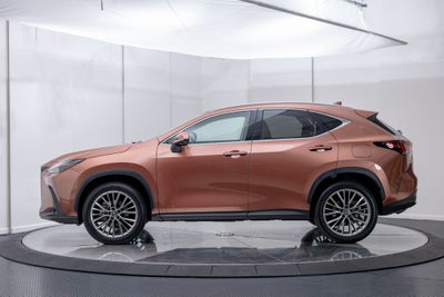 2025 Lexus NX 350h Luxury
