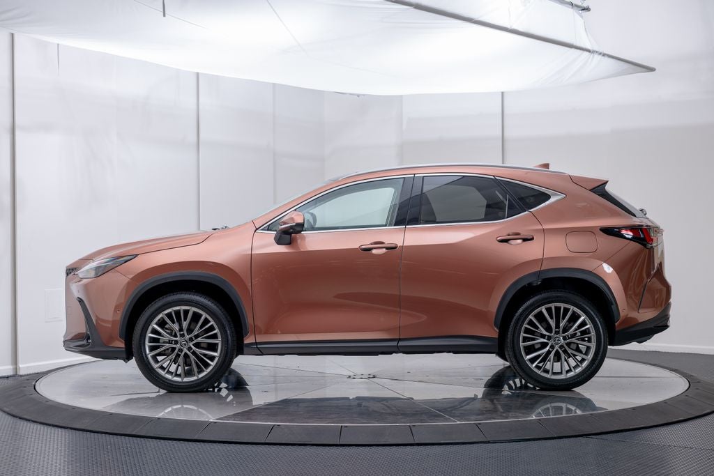2025 Lexus NX 350h Luxury