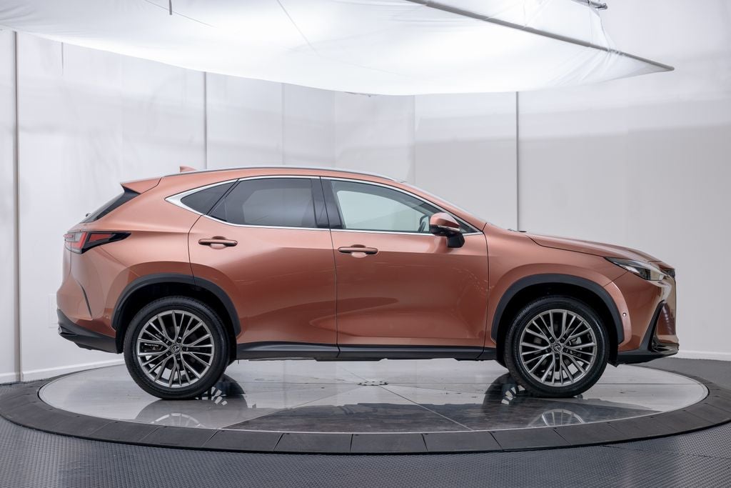 2025 Lexus NX 350h Luxury