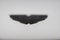 2023 Aston Martin DB11 Base
